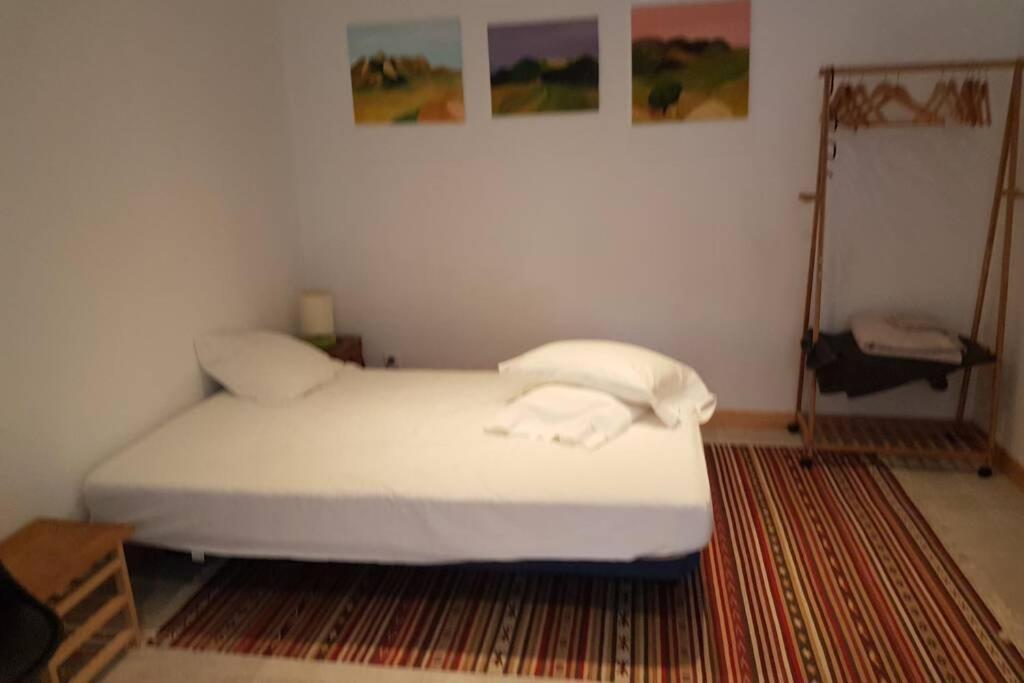Maison Marijke Garden Studio Ceret Luaran gambar
